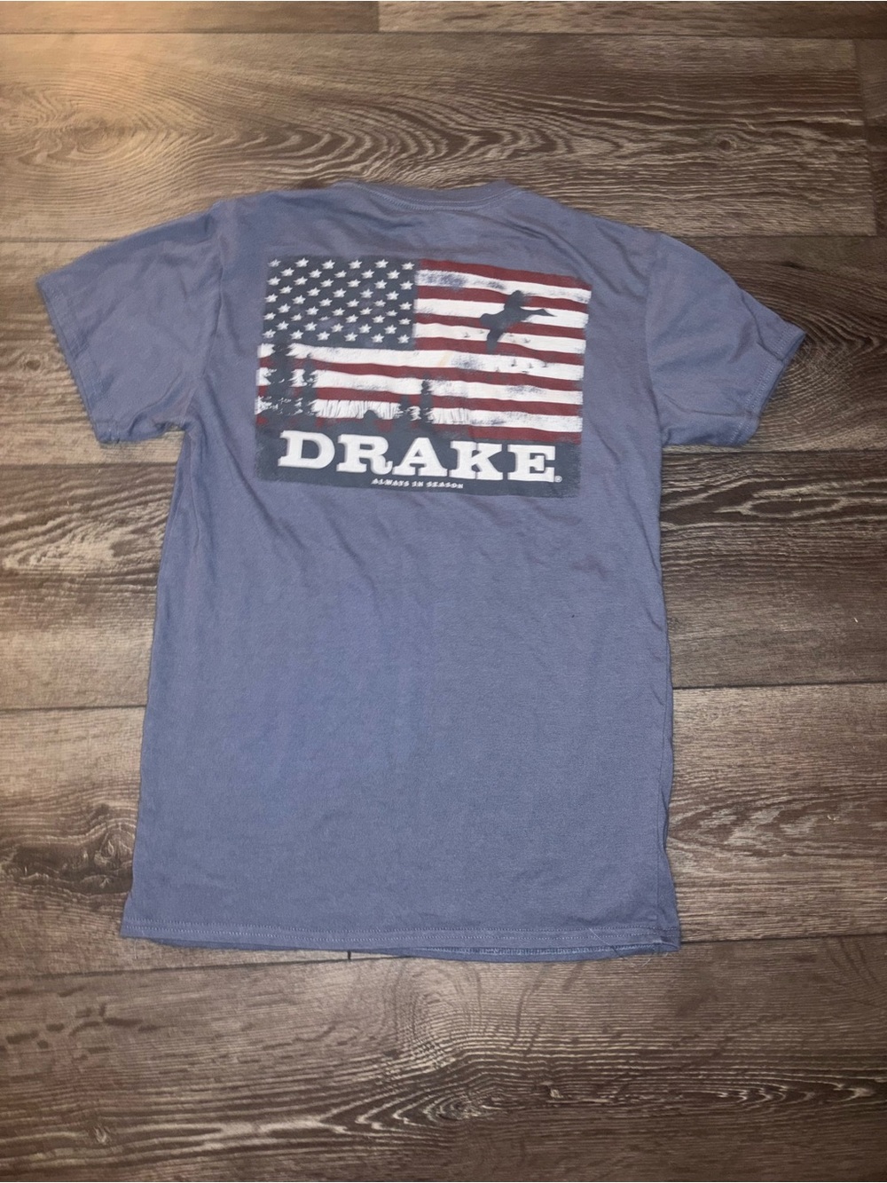 Drake Small Blue Graphic Flag Back Print Men's T-Shirt
